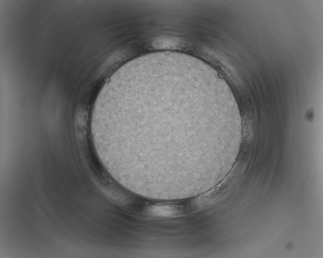 X0000116580171201001211312