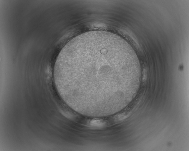 X0000116580173201001211312