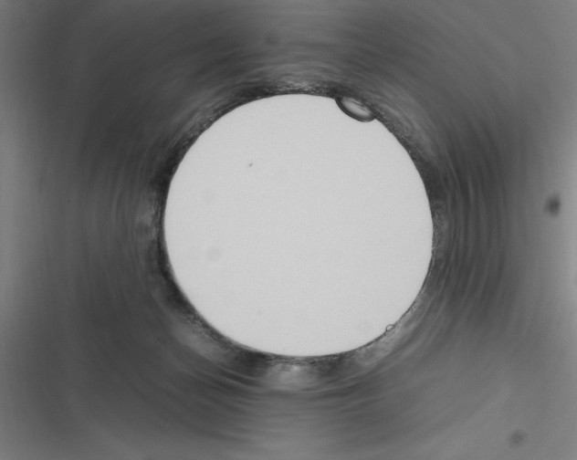 X0000116580174201001211312