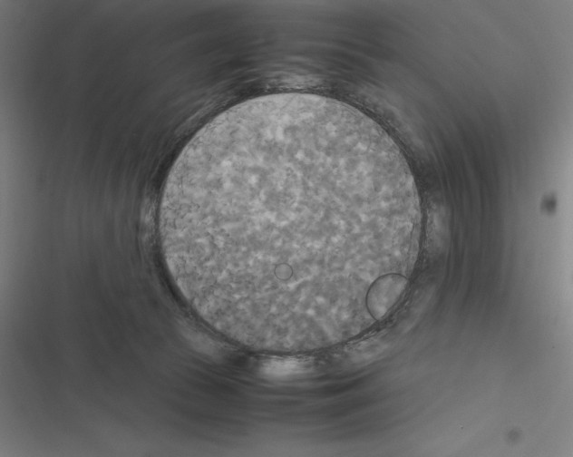 X0000116580177201001211312
