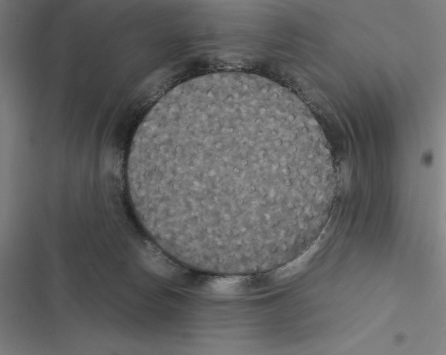 X0000116580178201001211312