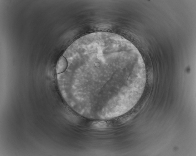X0000116580181201001211312