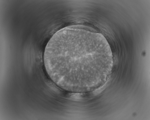 X0000116580182201001211312