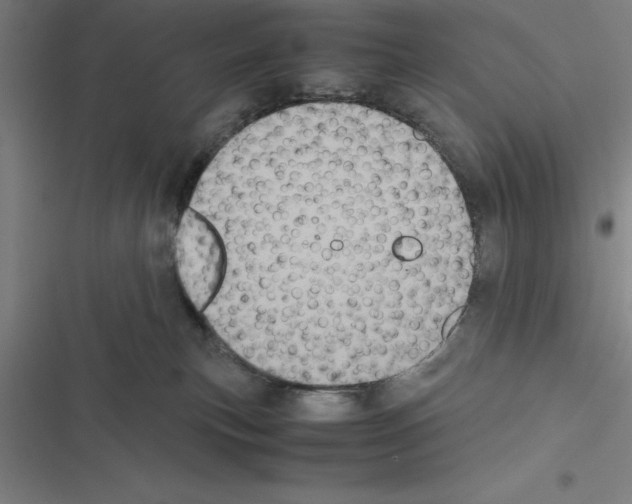 X0000116580183201001211312