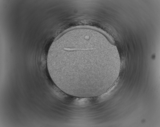 X0000116580186201001211312