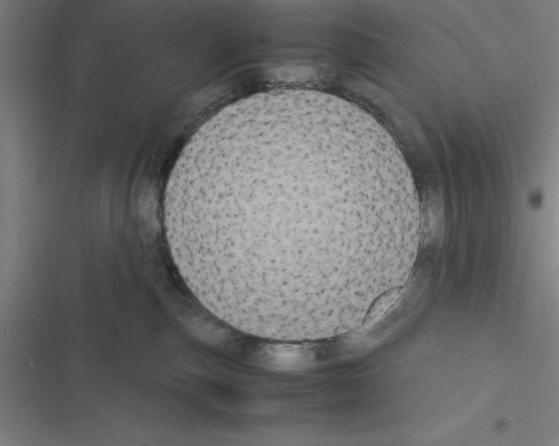 X0000116580187201001211312