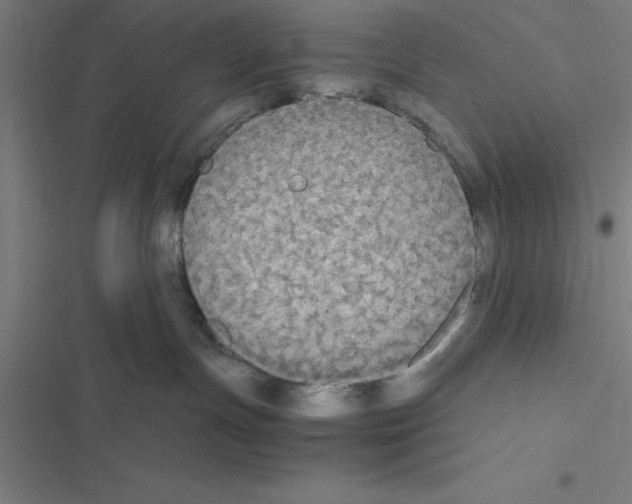X0000116580191201001211312