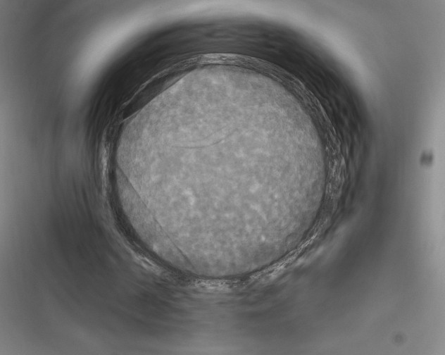 X0000116580194201001211312
