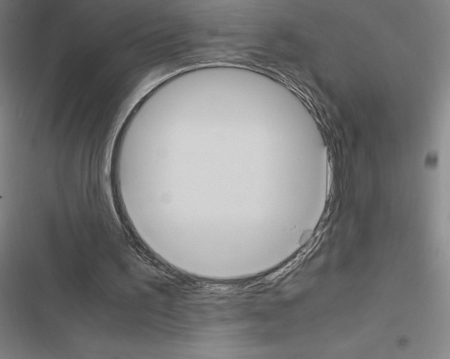 X0000116580195201001211312