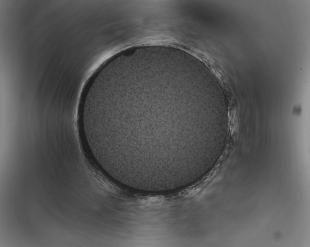 X0000116580196201001211311
