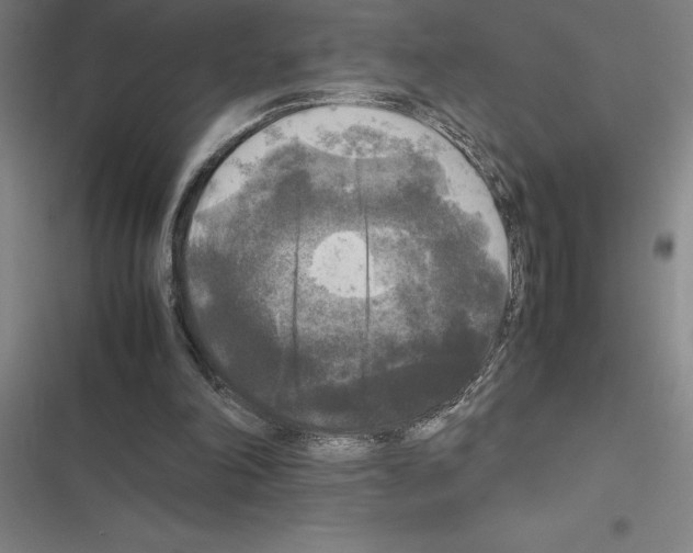 X0000116580198201001211311