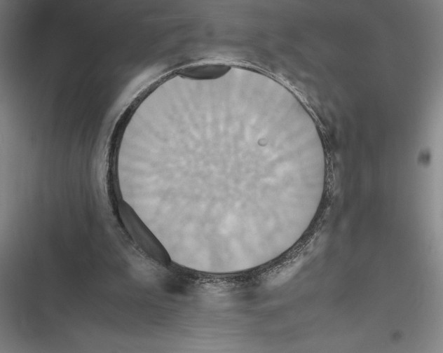 X0000116580199201001211311