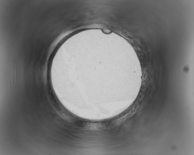 X0000116580200201001211311