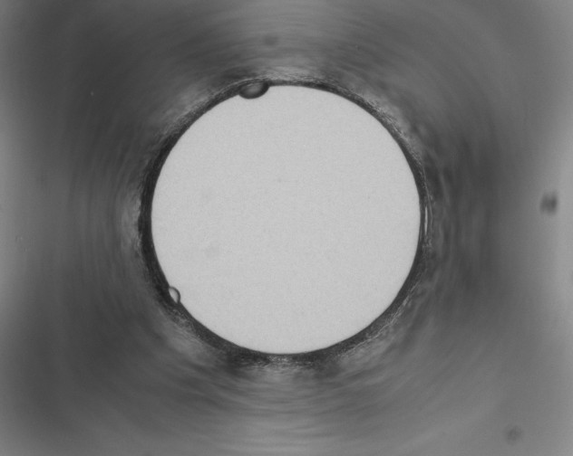 X0000116580201201001211311