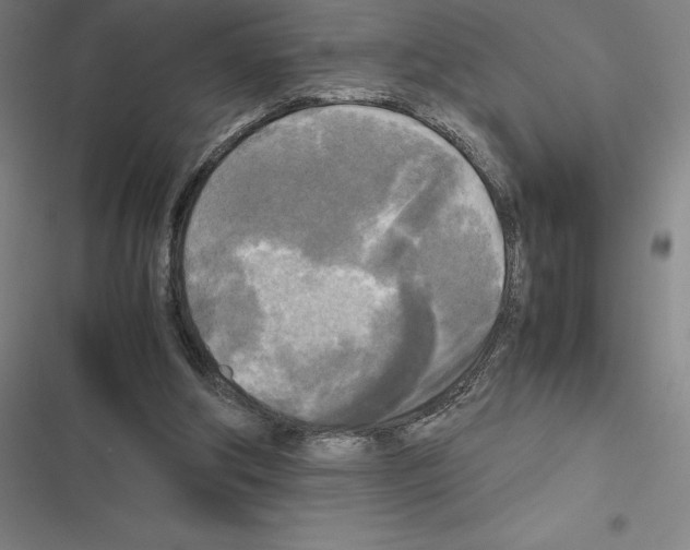 X0000116580202201001211311