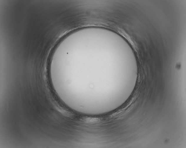 X0000116580203201001211311