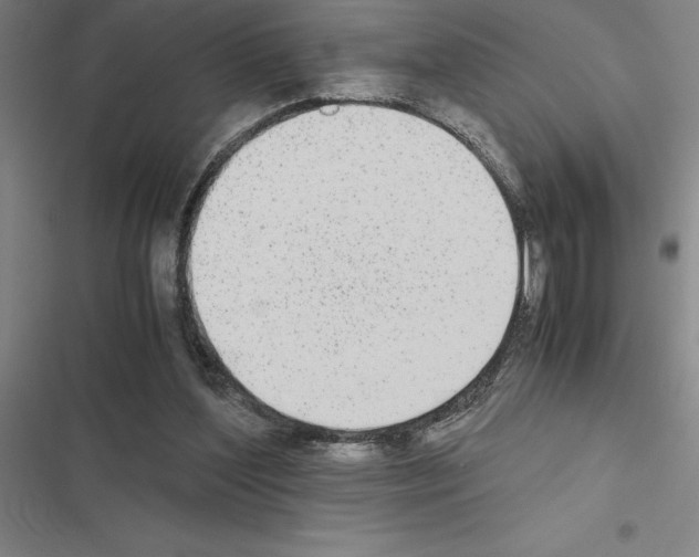X0000116580204201001211311