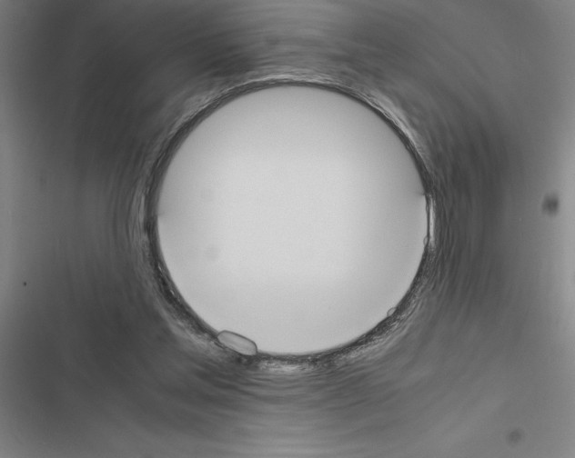 X0000116580205201001211311