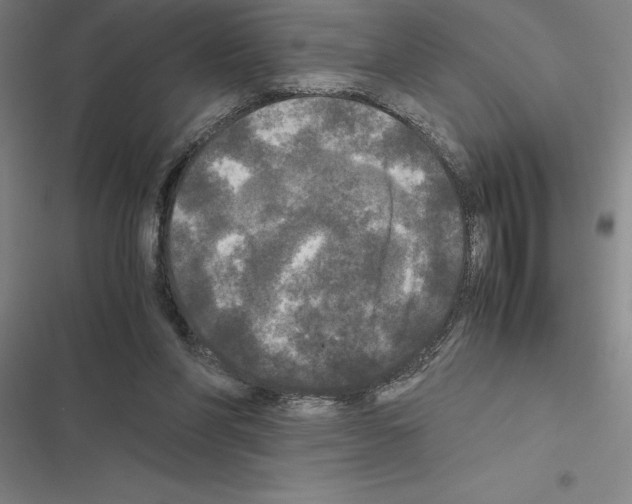 X0000116580206201001211311