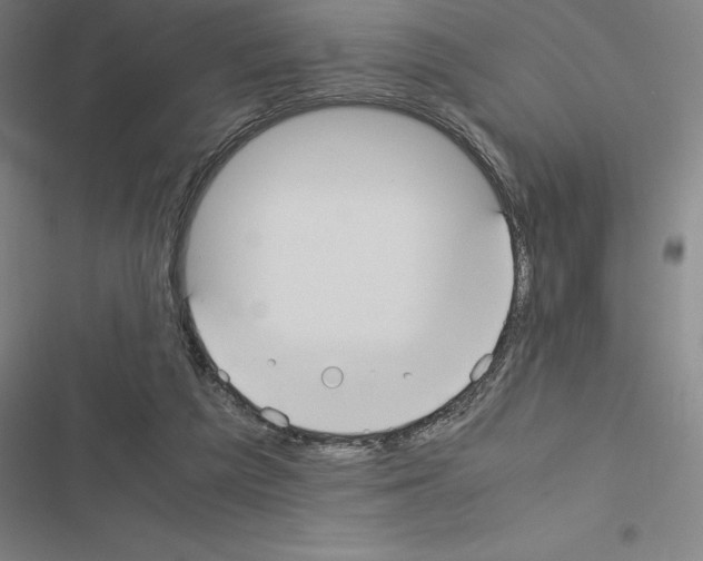 X0000116580209201001211311