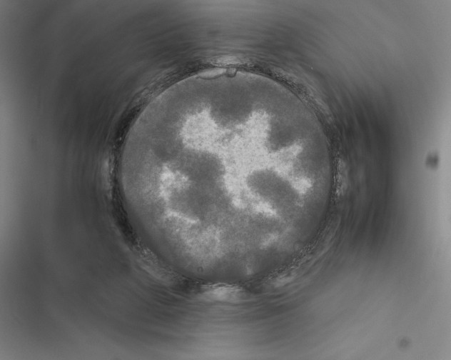 X0000116580210201001211311