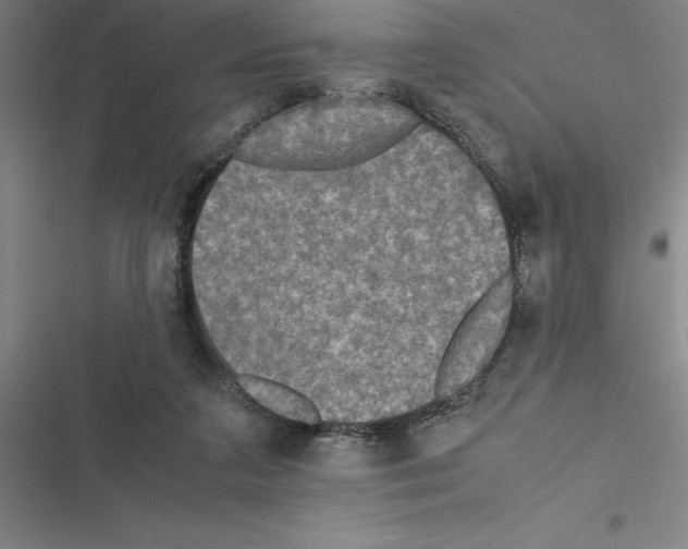 X0000116580211201001211311