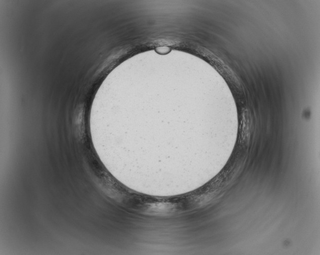 X0000116580212201001211311