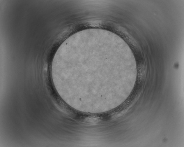 X0000116580213201001211311
