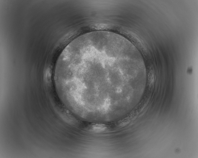 X0000116580214201001211311