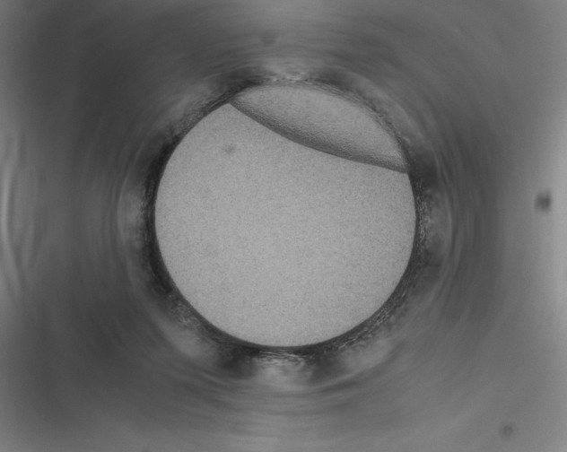 X0000116580215201001211311