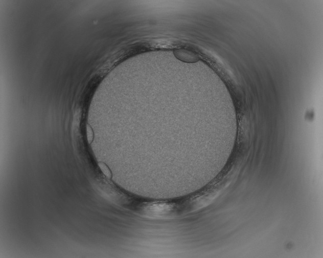 X0000116580217201001211311