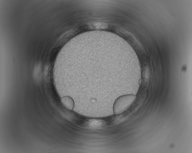 X0000116580218201001211311
