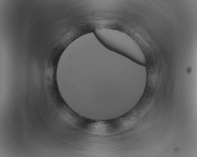 X0000116580219201001211311