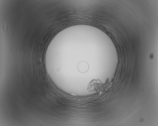 X0000116580221201001211311