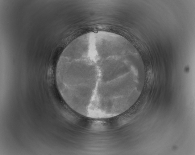 X0000116580222201001211311