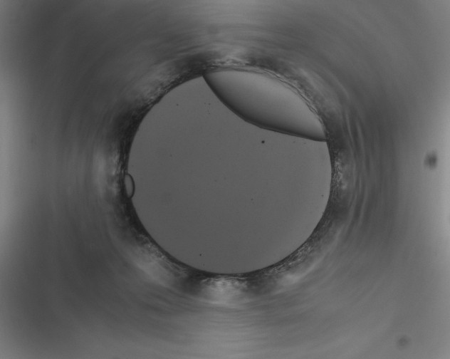 X0000116580223201001211311