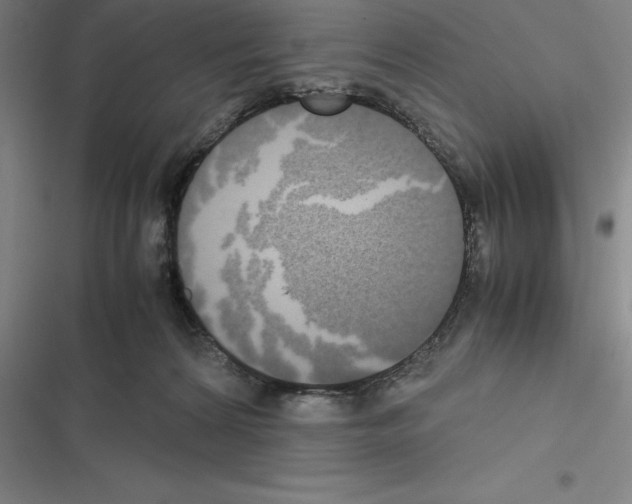 X0000116580224201001211311