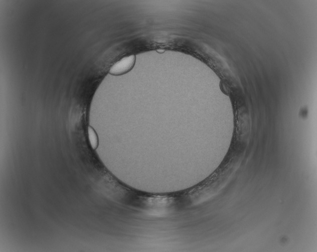 X0000116580225201001211311