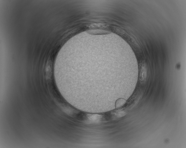 X0000116580226201001211311