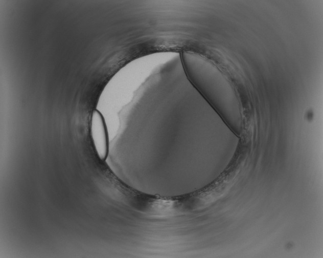 X0000116580227201001211311