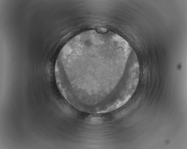 X0000116580228201001211311