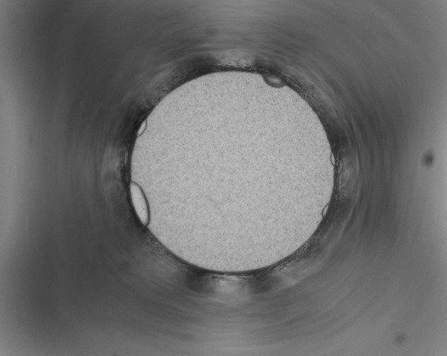 X0000116580229201001211311