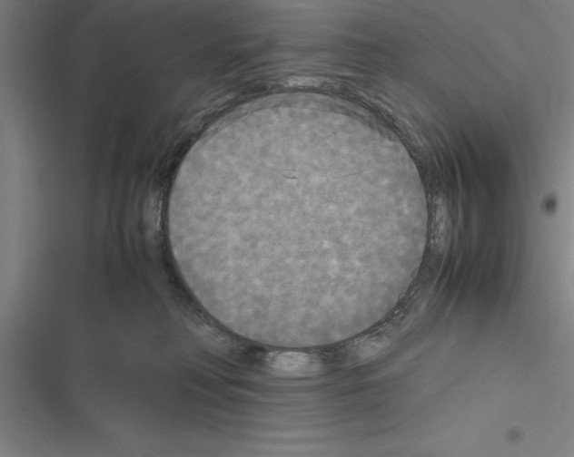 X0000116580230201001211311