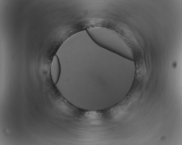 X0000116580231201001211311