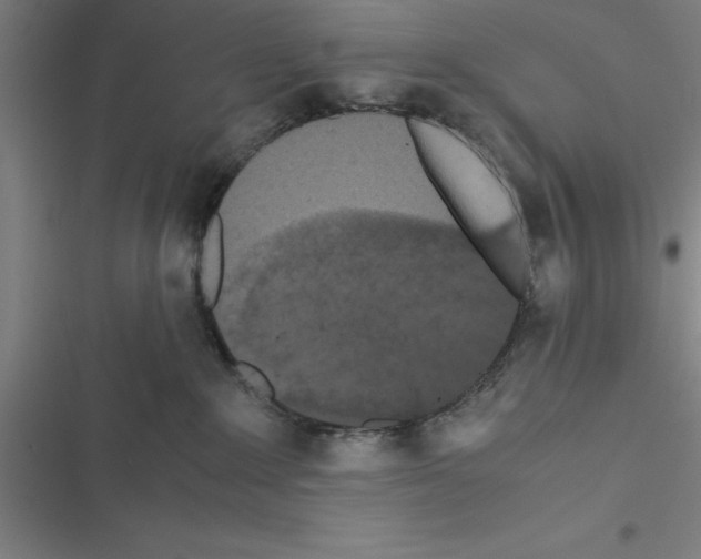 X0000116580235201001211311