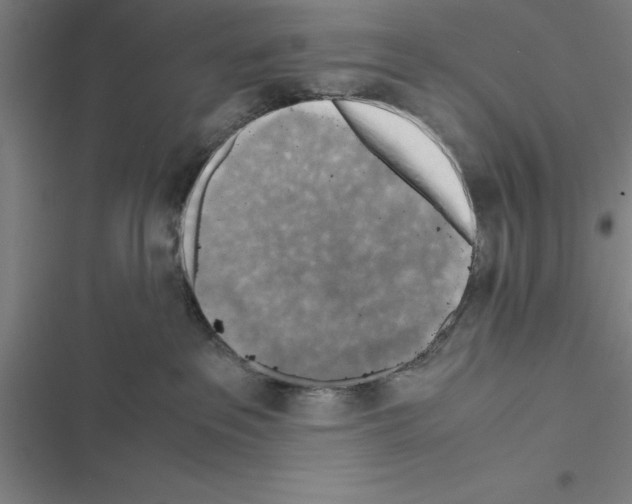 X0000116580237201001211311