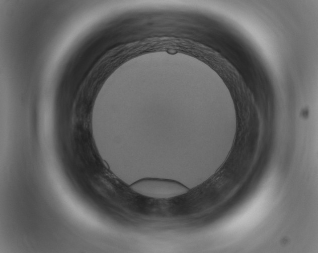 X0000116580239201001211311
