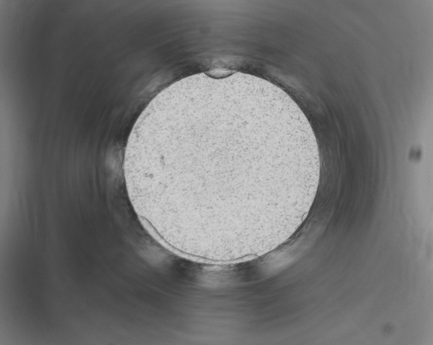 X0000116580240201001211311