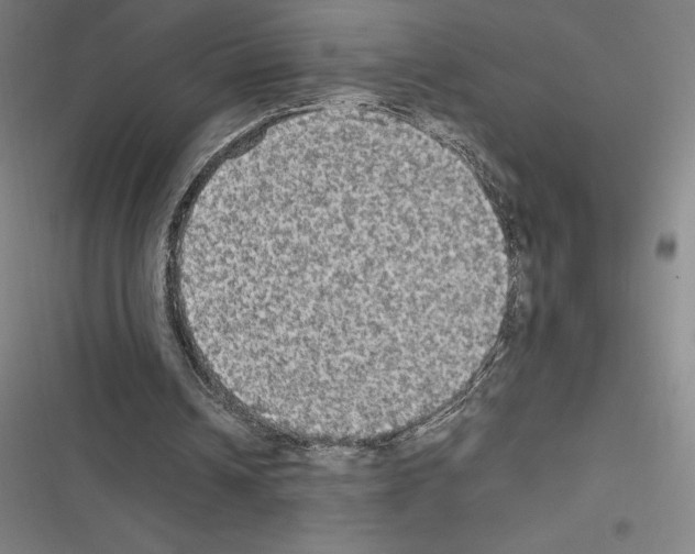 X0000116580242201001211310