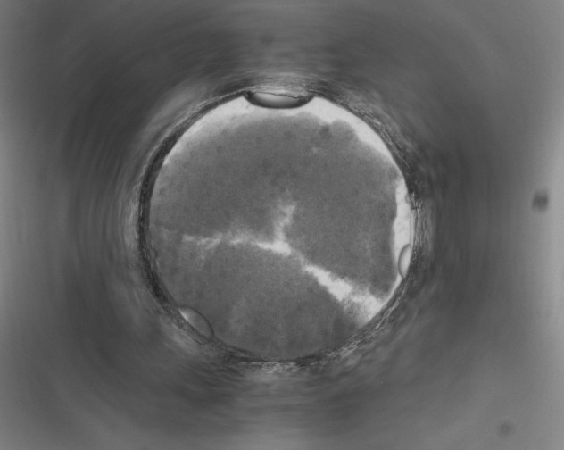 X0000116580243201001211310